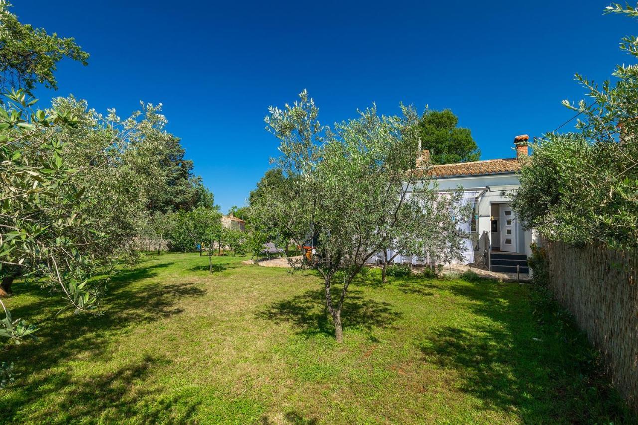 Holiday House Chill Out Loborika Marčana Екстериор снимка