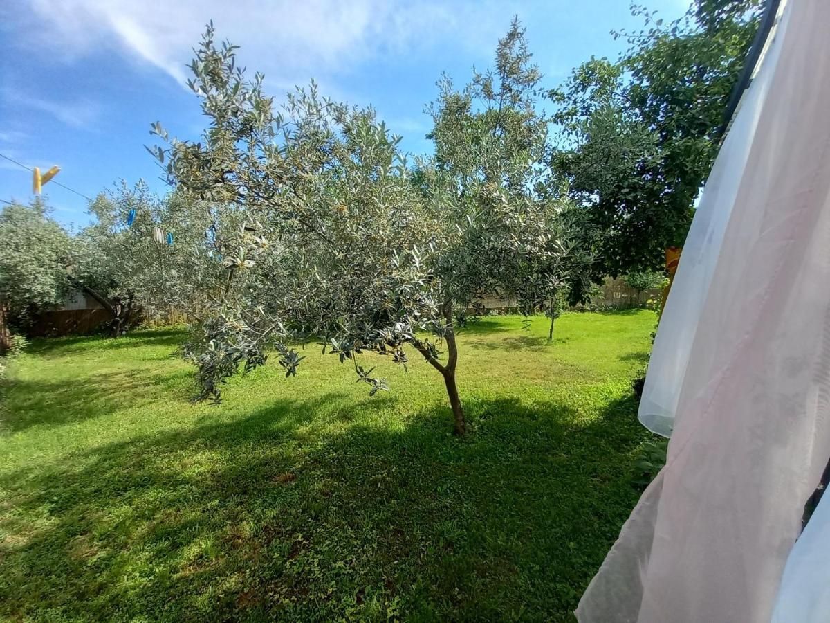 Holiday House Chill Out Loborika Marčana Екстериор снимка